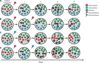 Legacy Effects on the Recovery of Soil Bacterial Communities from Extreme Temperature Perturbation